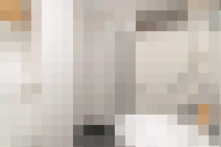 Woudlaan 31 Zoetermeer thumbnail 18