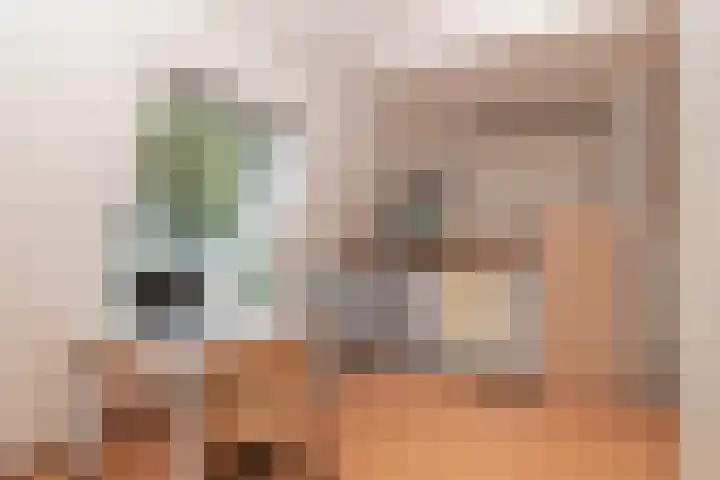 Woudlaan 31 Zoetermeer thumbnail 24