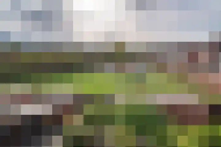 Woudlaan 31 Zoetermeer thumbnail 26