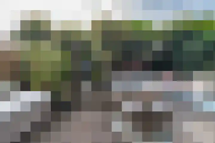 Woudlaan 31 Zoetermeer thumbnail 28