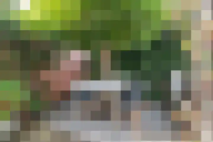 Woudlaan 31 Zoetermeer thumbnail 30