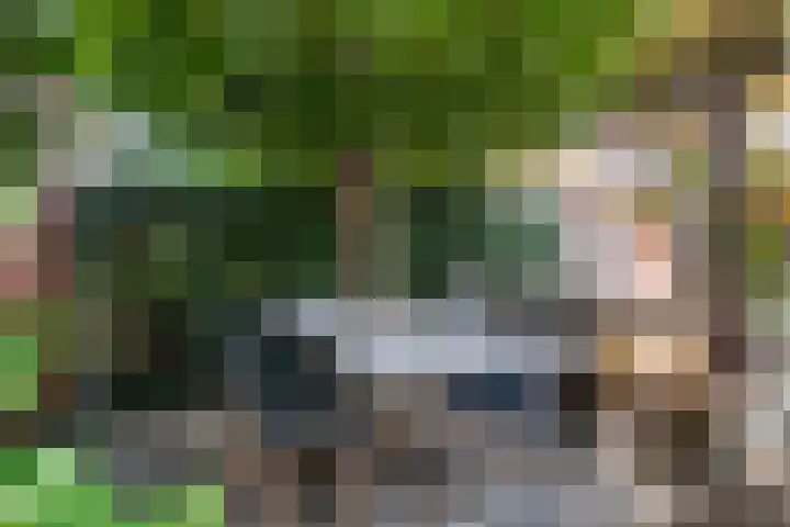Woudlaan 31 Zoetermeer thumbnail 31