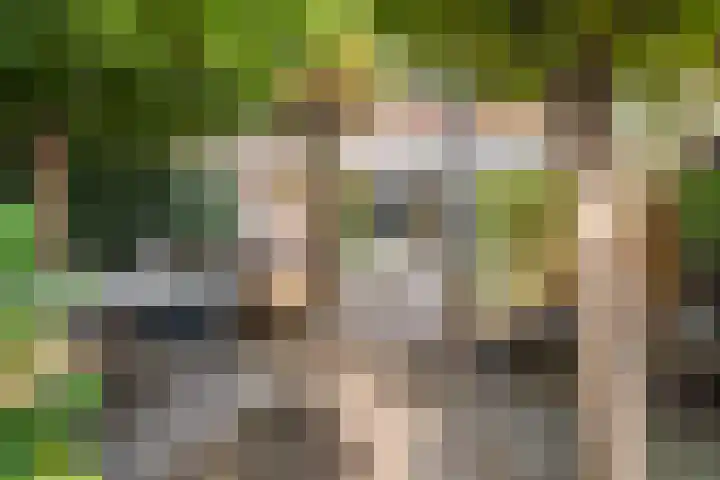 Woudlaan 31 Zoetermeer thumbnail 32