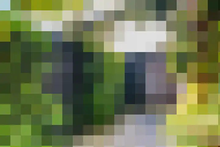 Woudlaan 31 Zoetermeer thumbnail 33