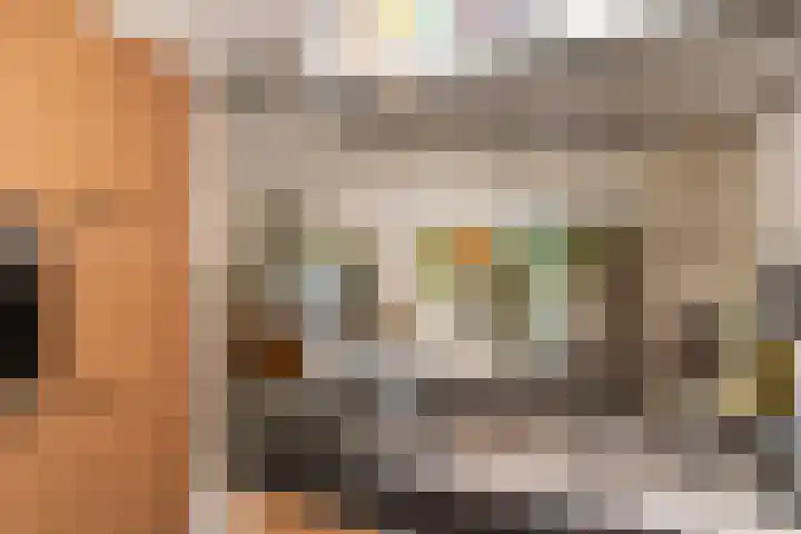 Woudlaan 31 Zoetermeer thumbnail 7