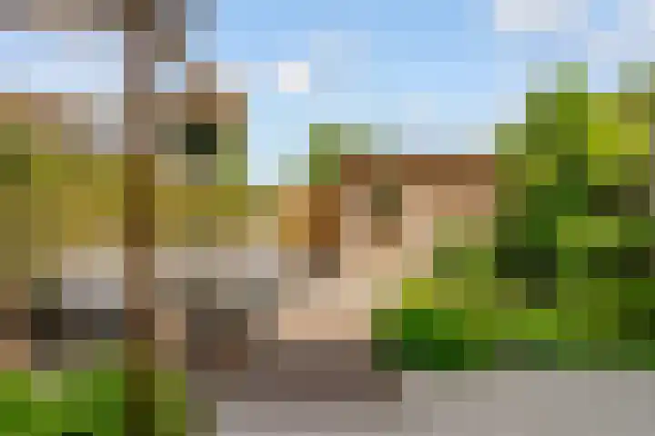 Woudlaar 43 Almere thumbnail 36