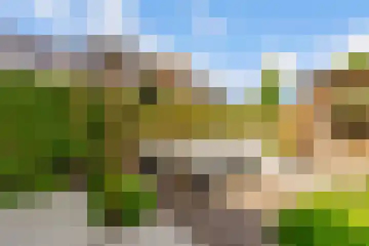 Woudlaar 43 Almere thumbnail 38