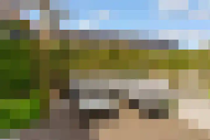 Woudlaar 43 Almere thumbnail 40