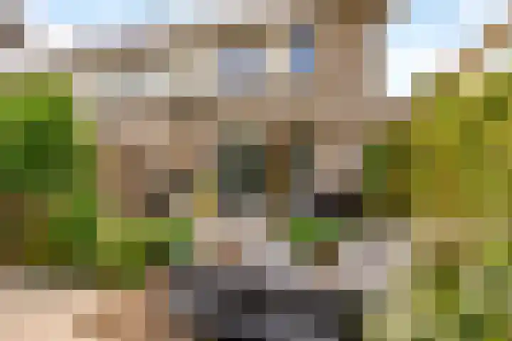 Woudlaar 43 Almere thumbnail 44