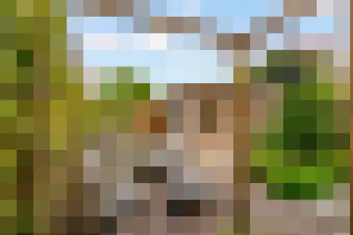 Woudlaar 43 Almere thumbnail 45