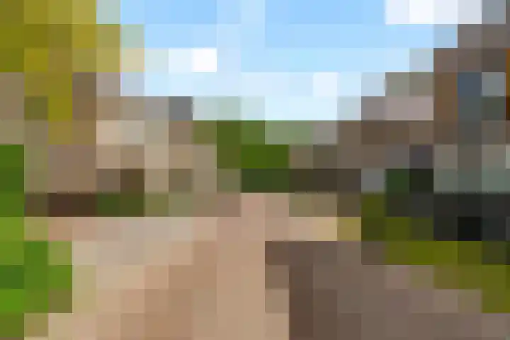 Woudlaar 43 Almere thumbnail 47