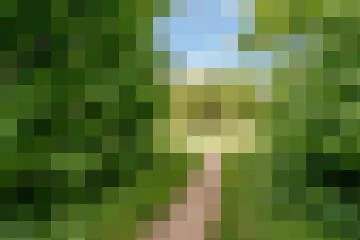 Woudlaar 43 Almere thumbnail 48