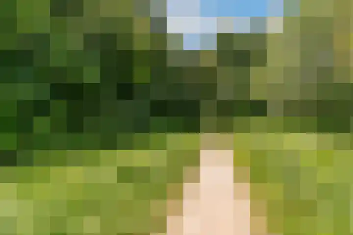 Woudlaar 43 Almere thumbnail 49