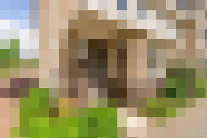 Woudlaar 43 Almere thumbnail 5
