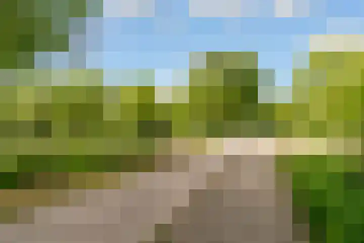 Woudlaar 43 Almere thumbnail 50