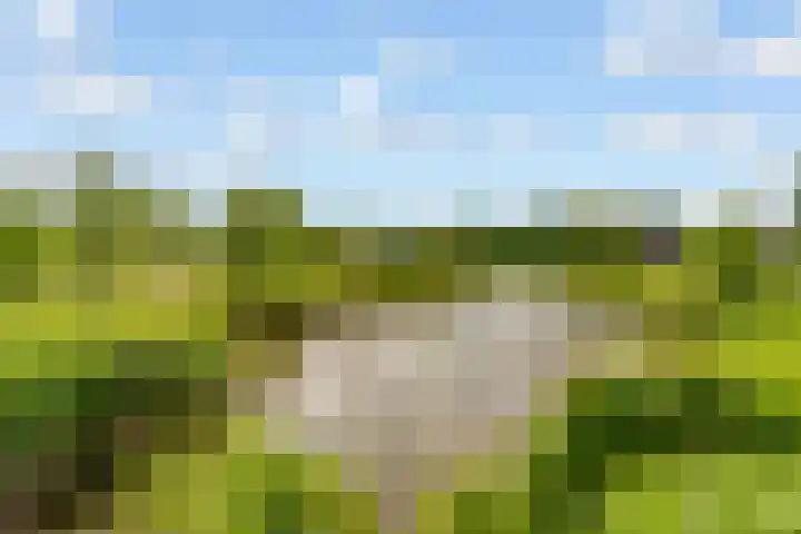 Woudlaar 43 Almere thumbnail 51