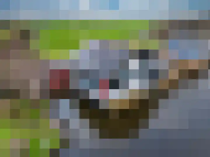 Woudsedijk-Zuid 2 a in Woubrugge