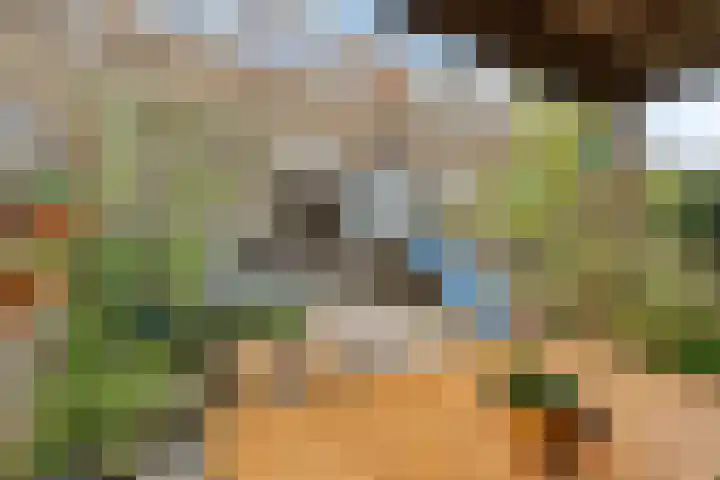 Woudstraat 54 Gouda thumbnail 32