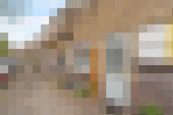 Woudstraat 54 Gouda thumbnail 5