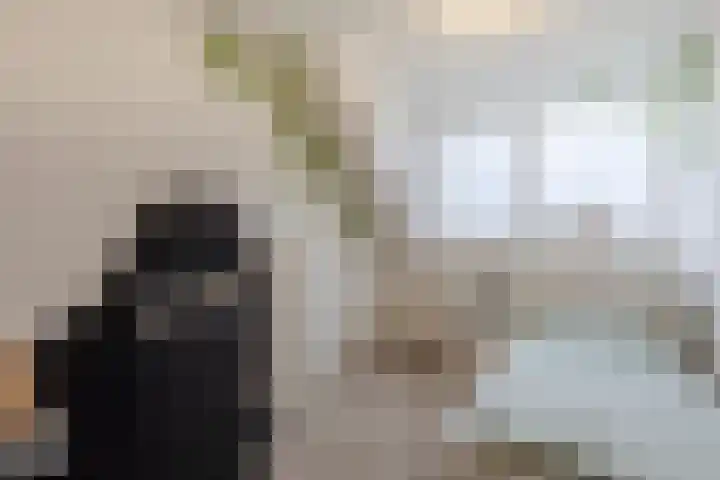 Wouter van Langherakelaan 40 Langerak thumbnail 28