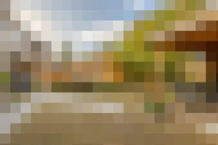 Wouter van Langherakelaan 40 Langerak thumbnail 31