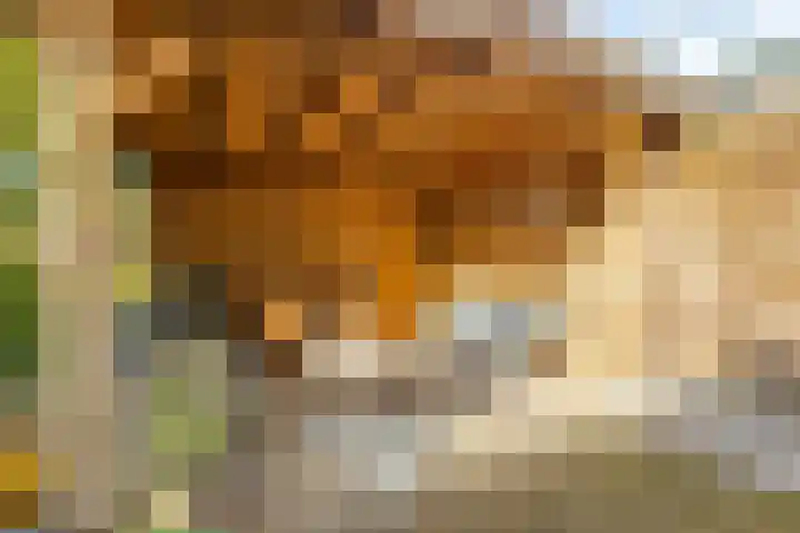 Wouter van Langherakelaan 40 Langerak thumbnail 32