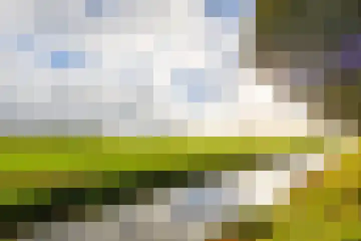 Wouter van Langherakelaan 40 Langerak thumbnail 4