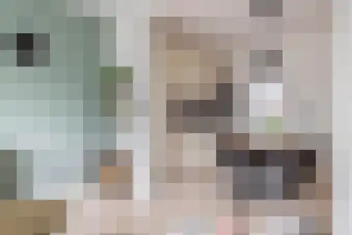 Woutersweg 75 's-Gravenzande thumbnail 11