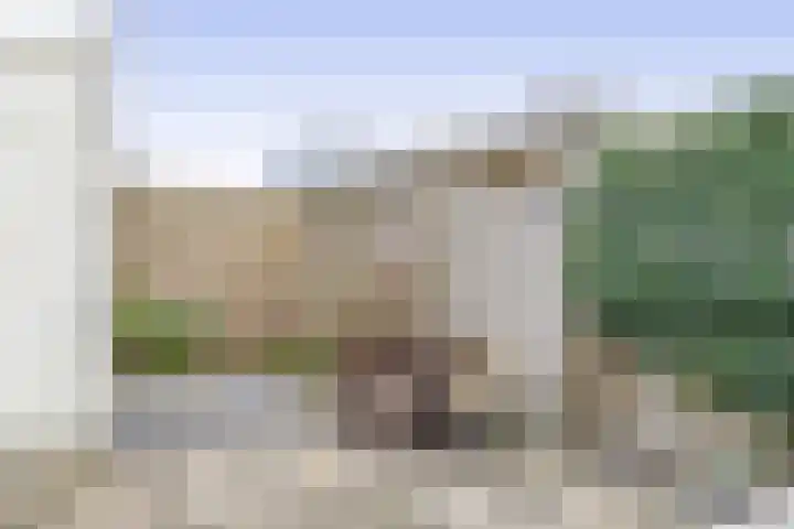 Woutersweg 75 's-Gravenzande thumbnail 23