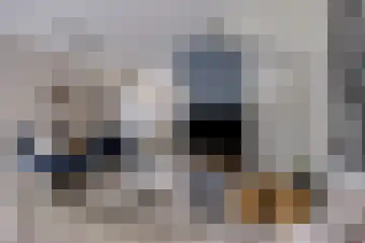 Wrongel 11 Oosterwolde thumbnail 11