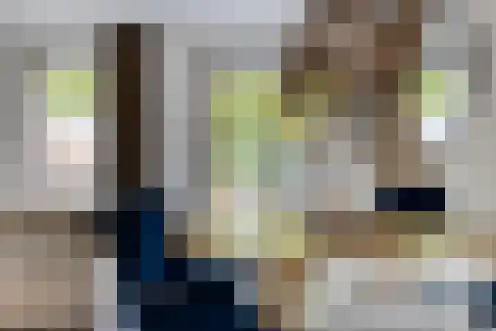 Wrongel 11 Oosterwolde thumbnail 14