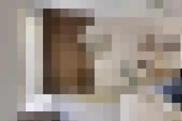 Wrongel 11 Oosterwolde thumbnail 15