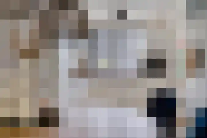 Wrongel 11 Oosterwolde thumbnail 16