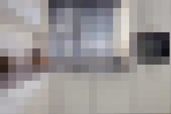 Wrongel 11 Oosterwolde thumbnail 18