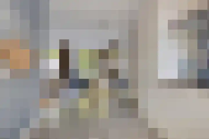 Wrongel 11 Oosterwolde thumbnail 20