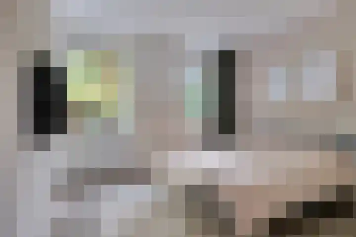 Wrongel 11 Oosterwolde thumbnail 21