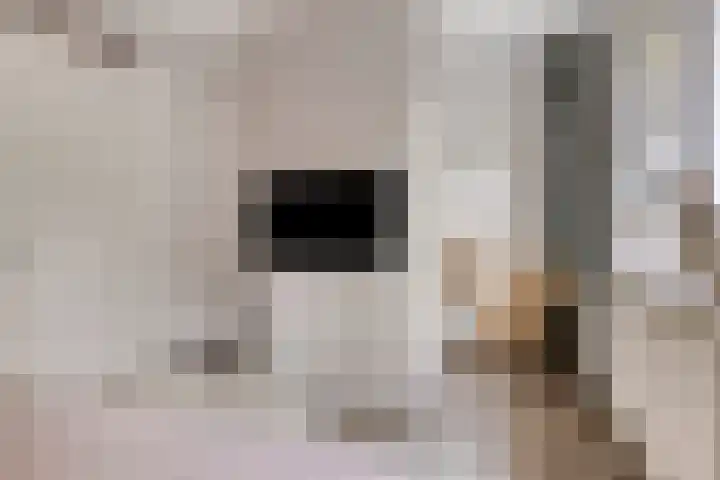 Wrongel 11 Oosterwolde thumbnail 23