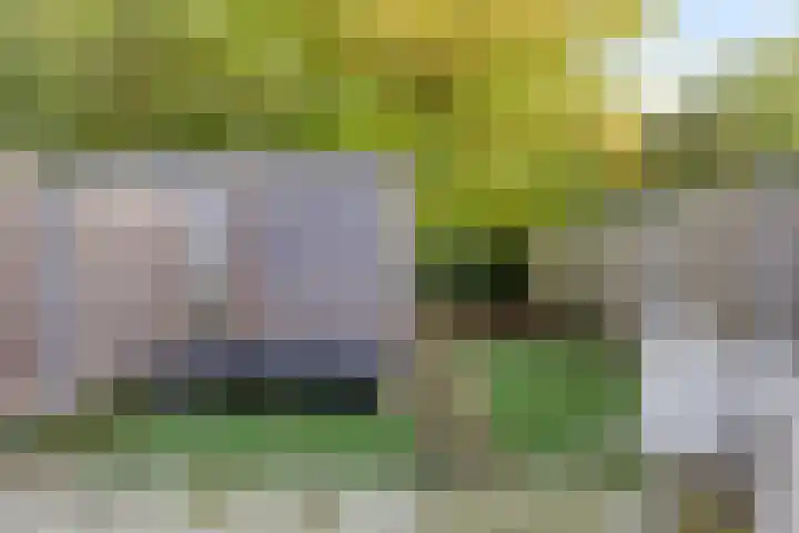 Wrongel 11 Oosterwolde thumbnail 32