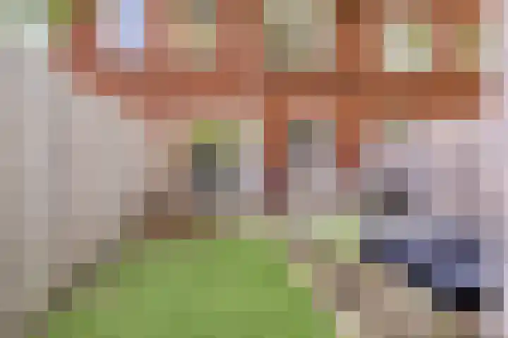 Wrongel 11 Oosterwolde thumbnail 33
