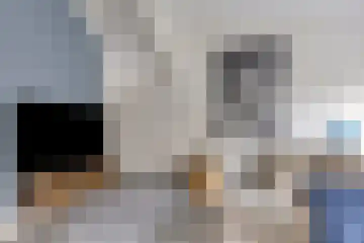 Wrongel 11 Oosterwolde thumbnail 9