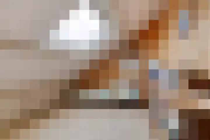 Wuiver 36 Spanbroek thumbnail 22