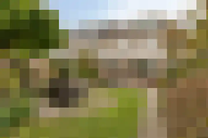 Wuiver 36 Spanbroek thumbnail 29