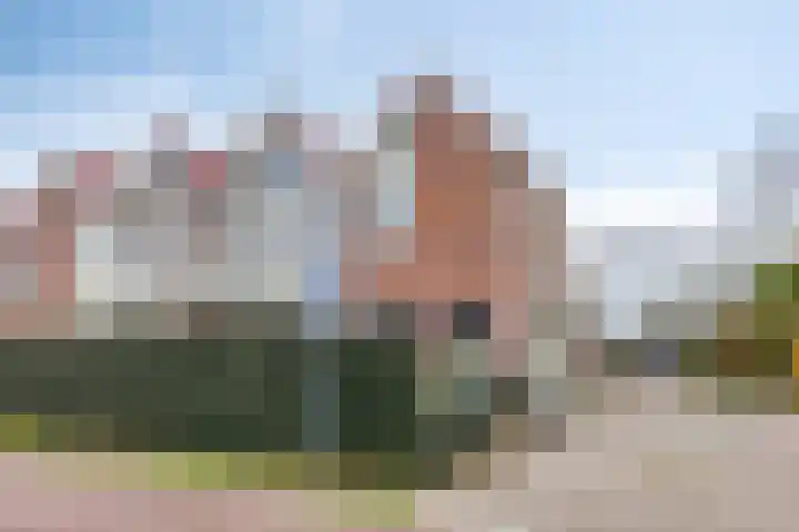 Wulkpad 21 Zoutelande