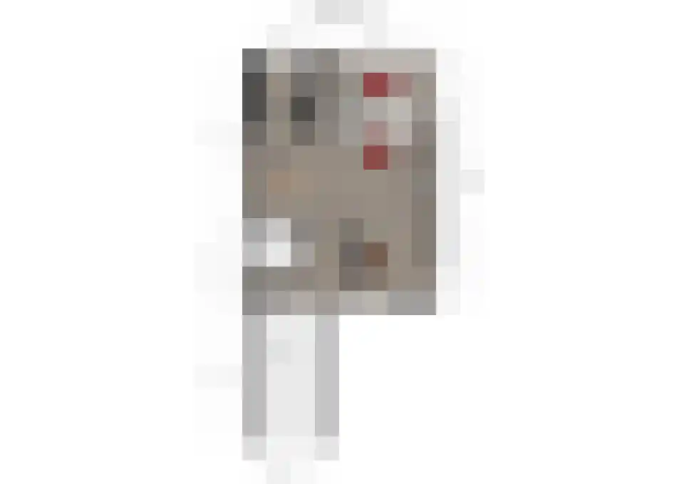 Wulp 14 Waspik thumbnail 27