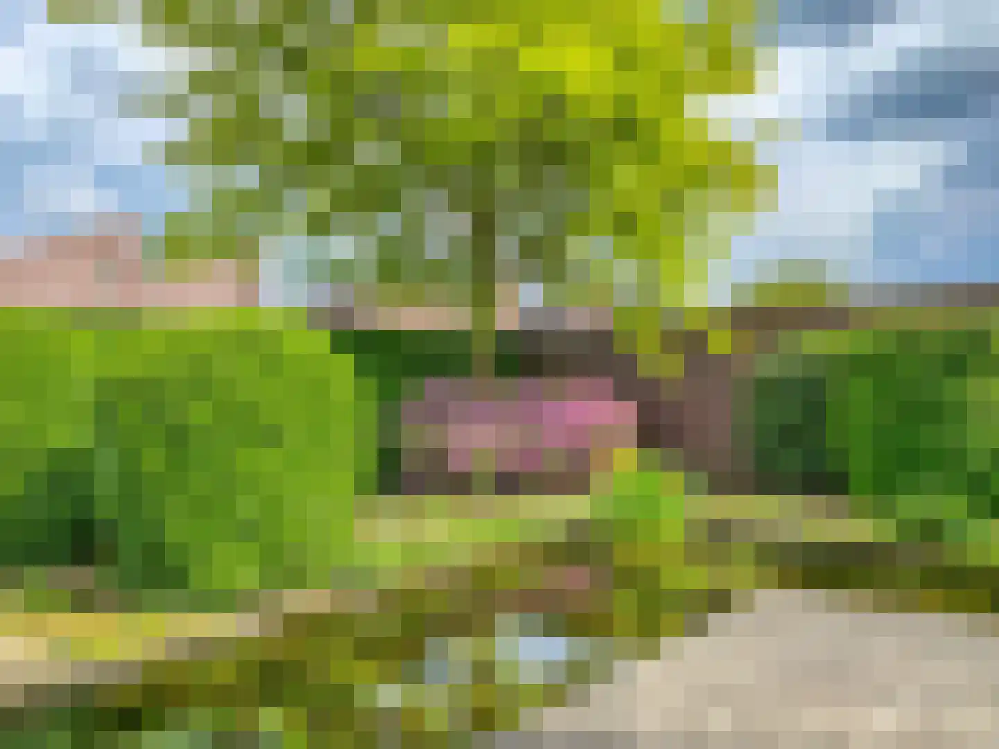 Wulp 14 Waspik foto 3