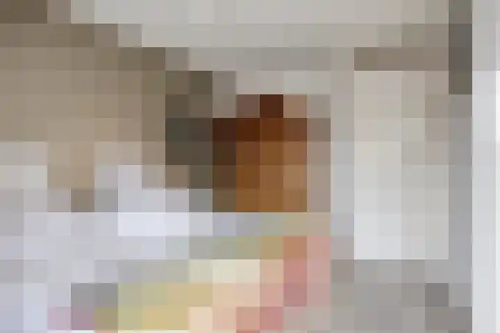 Wulp 29 Raalte thumbnail 12