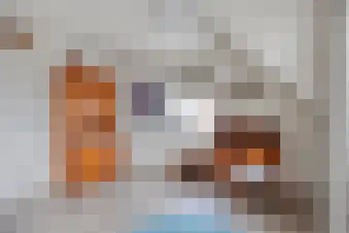 Wulp 29 Raalte thumbnail 13