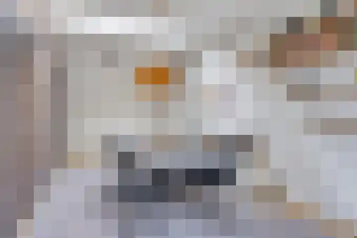 Wulp 29 Raalte thumbnail 16