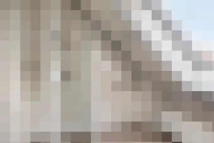 Wulp 29 Raalte thumbnail 17