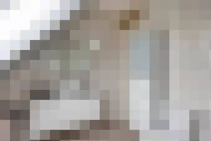 Wulp 29 Raalte thumbnail 18